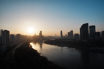1000076208