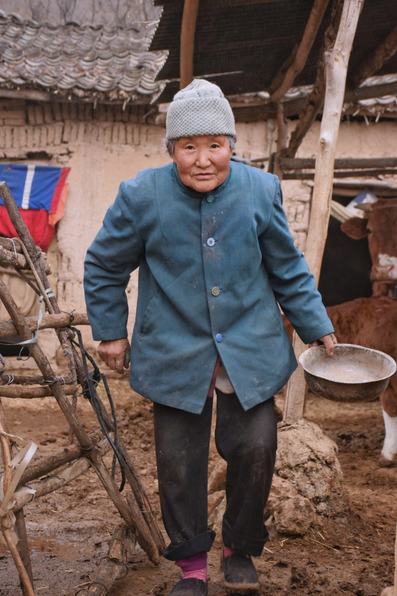 每天下午5点多老奶奶要去自家的牛圈给牲口添一次料今天看到有人给她