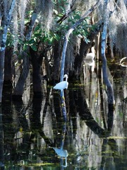 everglade national park2