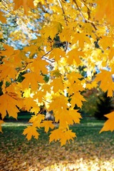 08, fall, campus