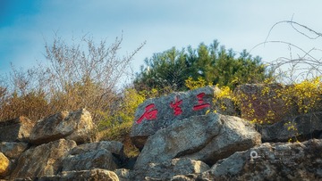 DN9A1579
