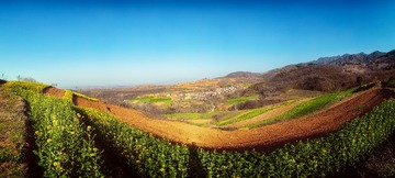 DN9A2125-Pano