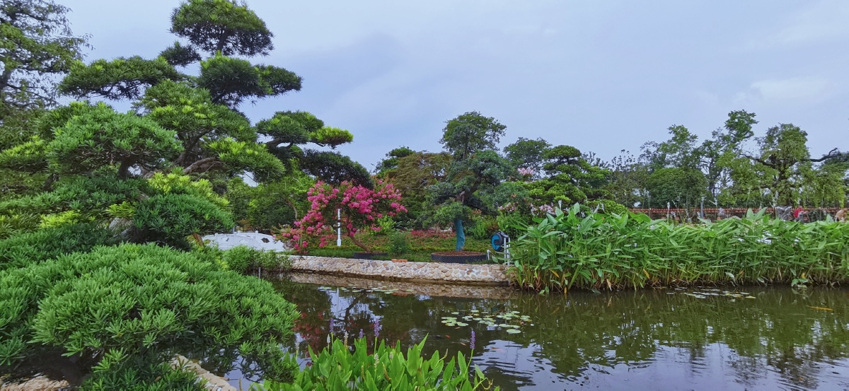 早安图友们图如皋顾庄生态园