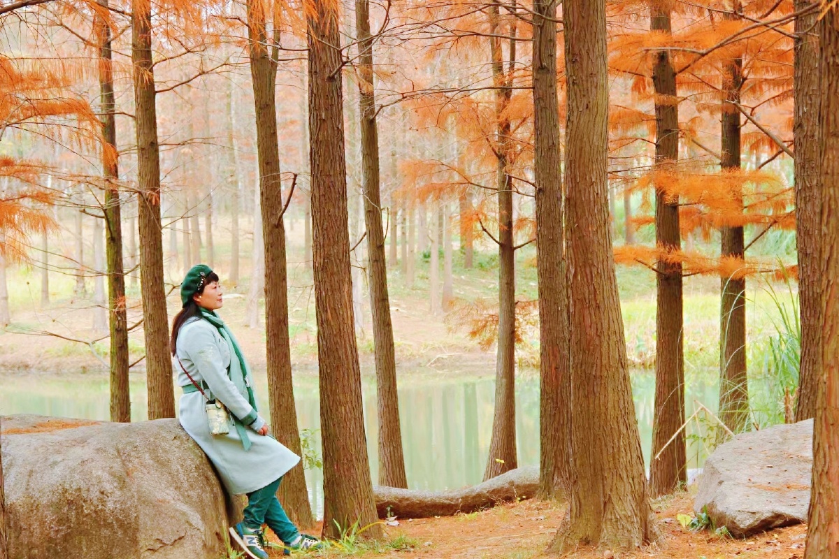 贡湖湾湿地公园人像