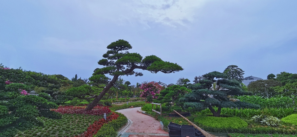 早安图友们图如皋顾庄生态园