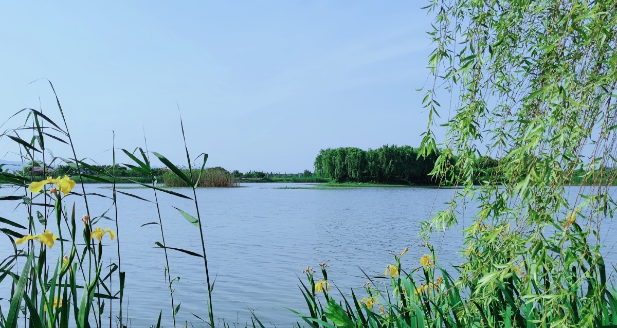 图溧阳塘马湿地