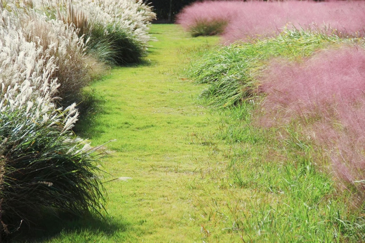 满庭芳郊野花园