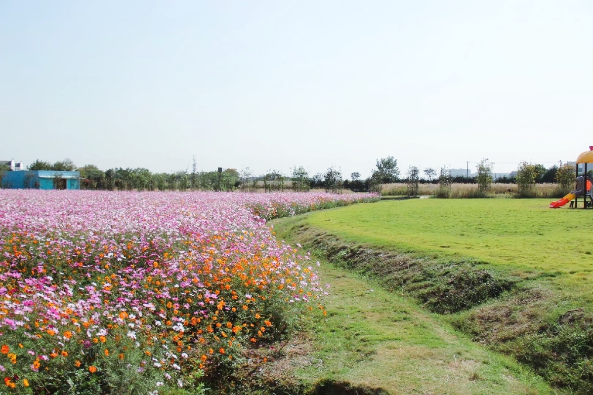 满庭芳郊野花园
