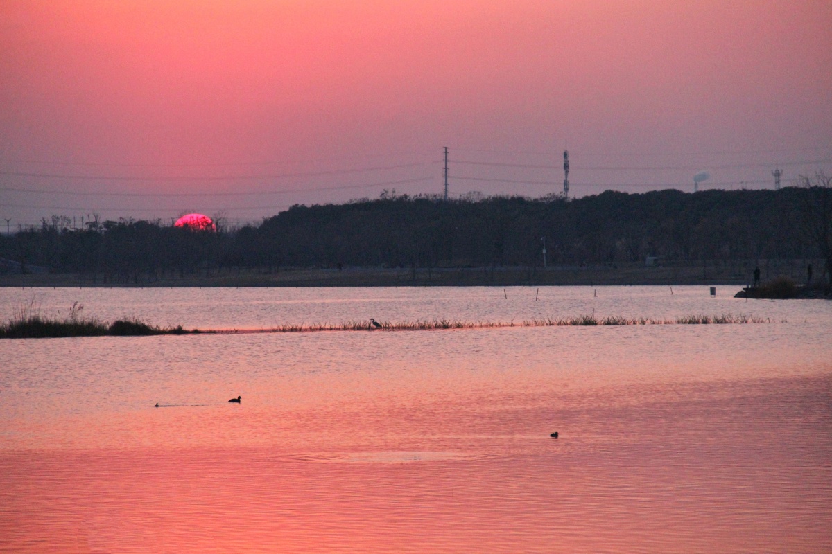 海安上湖沙滩的日落