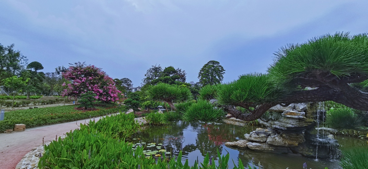 早安图友们图如皋顾庄生态园
