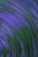 31734E2D-335D-48C6-B8AF-4B54C3005669/L0/001