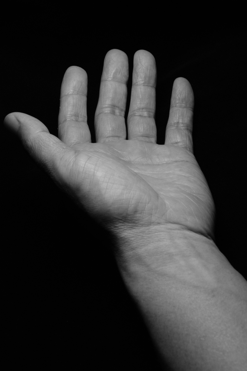 黑白|父亲|手掌