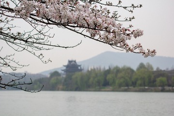 _MG_7520-1