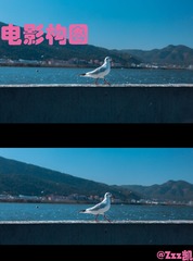 电影构图