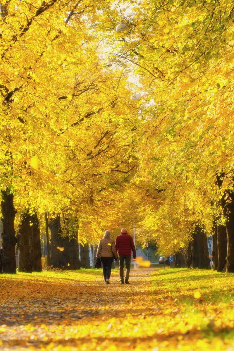 绕了几个街区找到了还牵着手的老夫妇告诉他们看着你们的背影想起自己