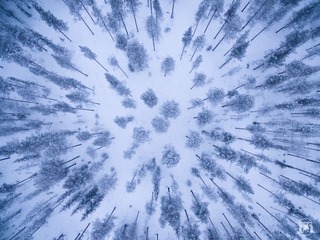 DJI_0037-2