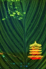 001