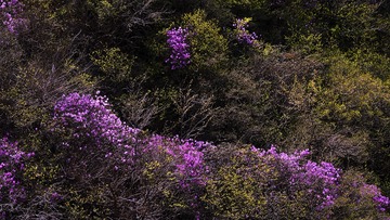 “DF106174”为智能对象-1