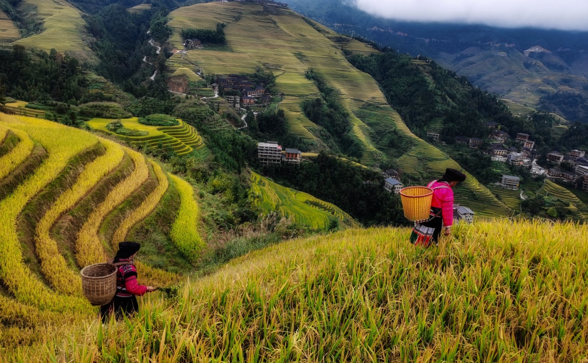 瑶族梯田人文风光