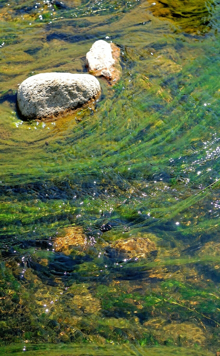 阳光下的小河,水面闪着光