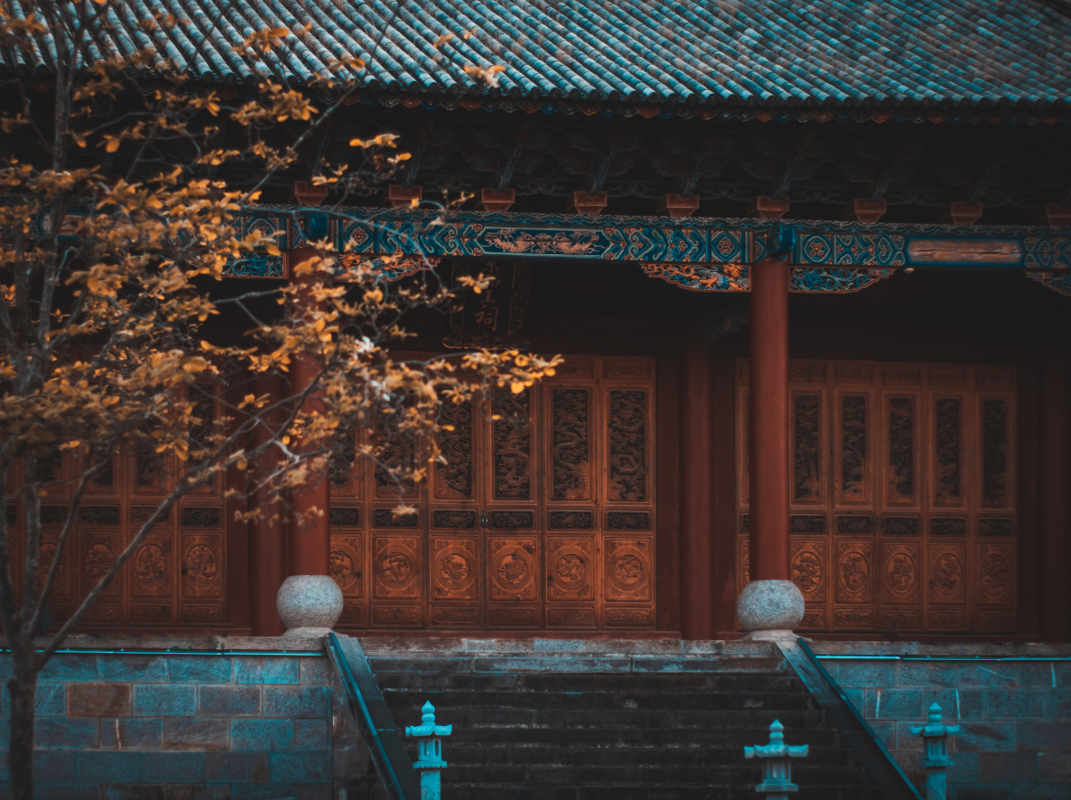 唐风唐韵,意境深邃,观竹听风,禅意无限