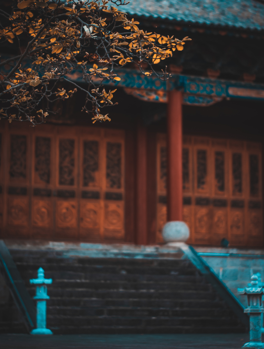 唐风唐韵,意境深邃,观竹听风,禅意无限