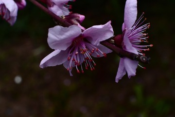 EE957FDF-6551-48F0-A2DC-FA2A934DB33F/L0/001