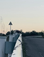 BC641437-A9F8-42E2-B694-FA50C5E6B30C/L0/001