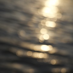 81BD0D63-9F02-4918-977C-9260B6DE62B9/L0/001