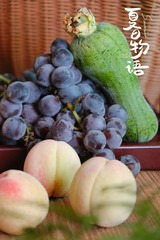 77F933EE-2037-482C-A48B-2CEF8D98A5C7/L0/001