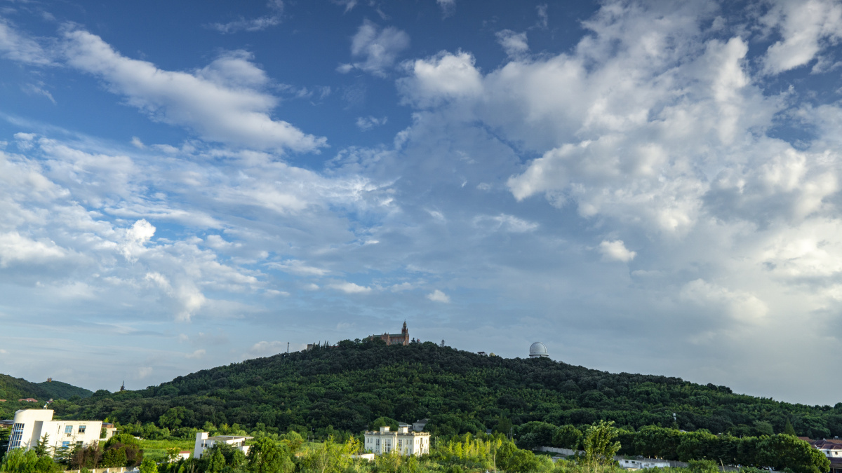 上海佘山国家森林公园行者庚子年拍摄