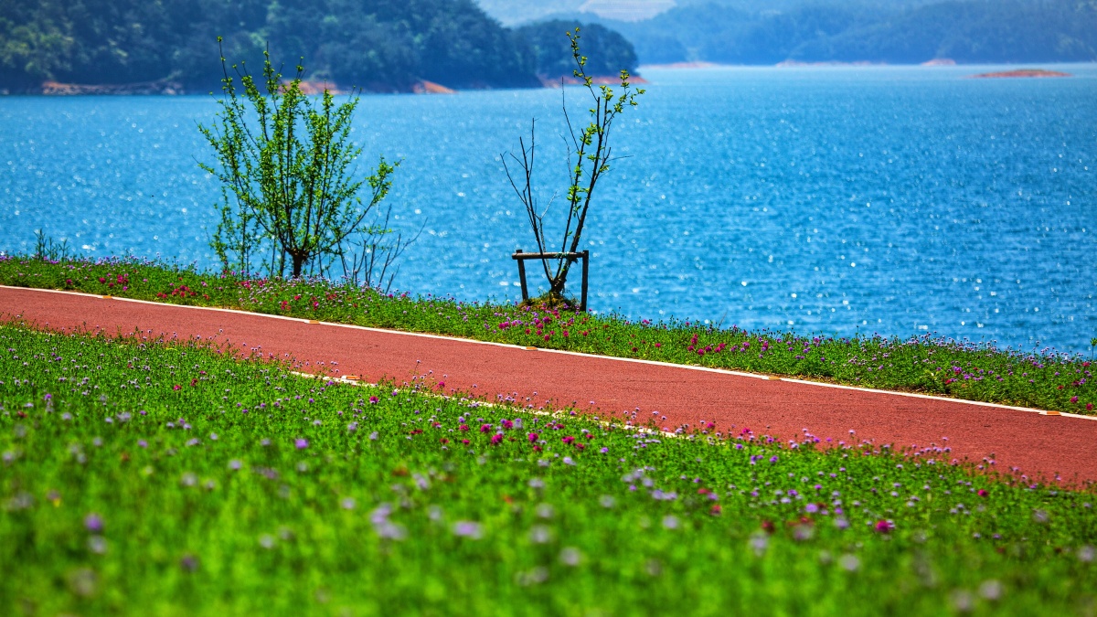 湖边骑行道