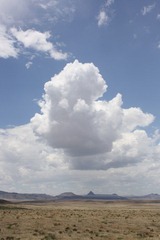 New Mexico