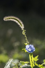 62930