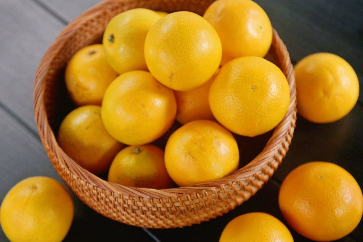 一招拍出橙子的高级感,冰糖橙水果 - 依依霸霸 - 图虫