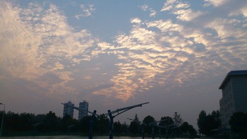 DSC_0022.jpg
