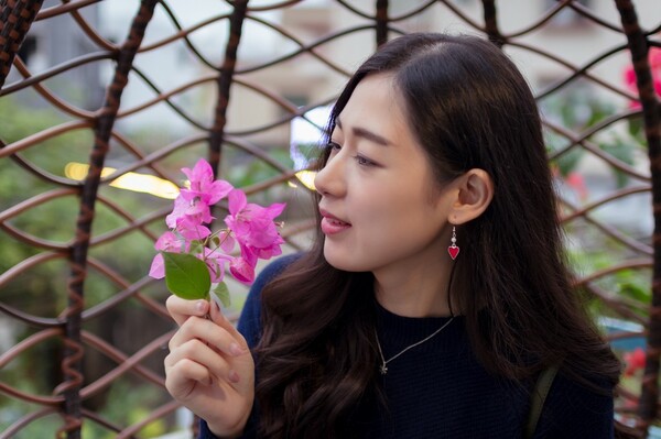 13016053.jpg