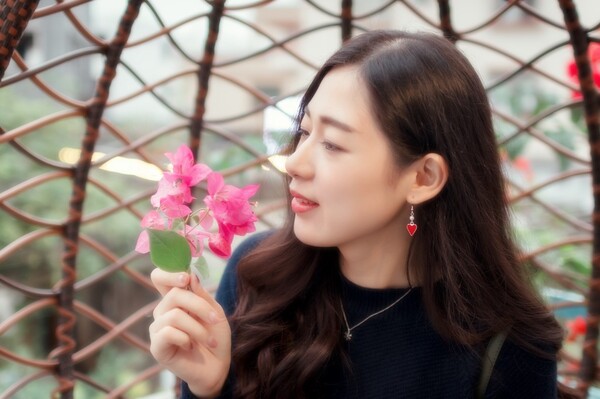 13016054.jpg