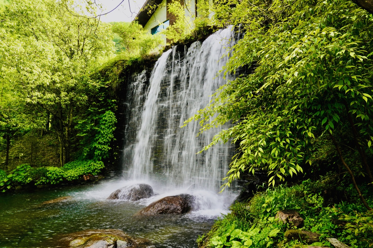林间飞瀑摄于神农架景区