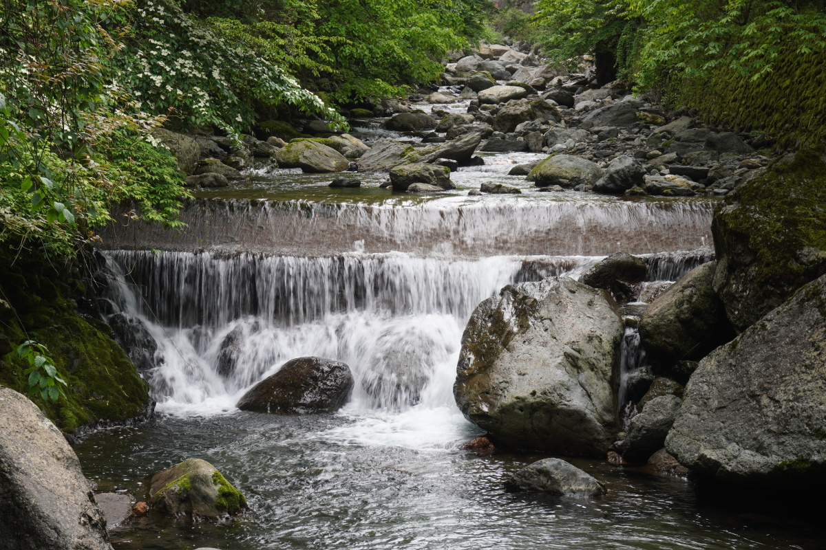 山间潺潺流淌着的小溪摄于神农架景区