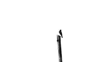 B502100E-6CAE-4C16-A7D2-4B952C53DCD7/L0/001