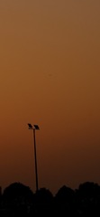 9D044776-9CF5-4D5A-8BAE-EE9540EFA08B/L0/001