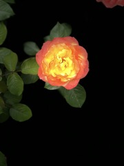 001