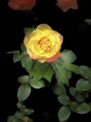 001
