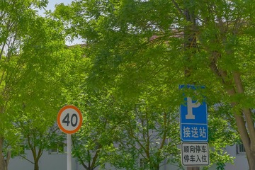 C1068CF3-CF4C-4C4A-8864-C3A214B3CA9F/L0/001