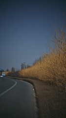 63BCA4CB-1916-46F7-8661-49915B2EB6C7/L0/001