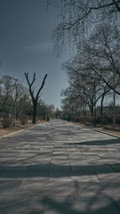 2689CC55-E5EC-4BDB-876F-54CFFD03534D/L0/001