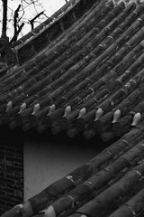 CF676337-0FD9-45DC-940D-C722576C57B9/L0/001