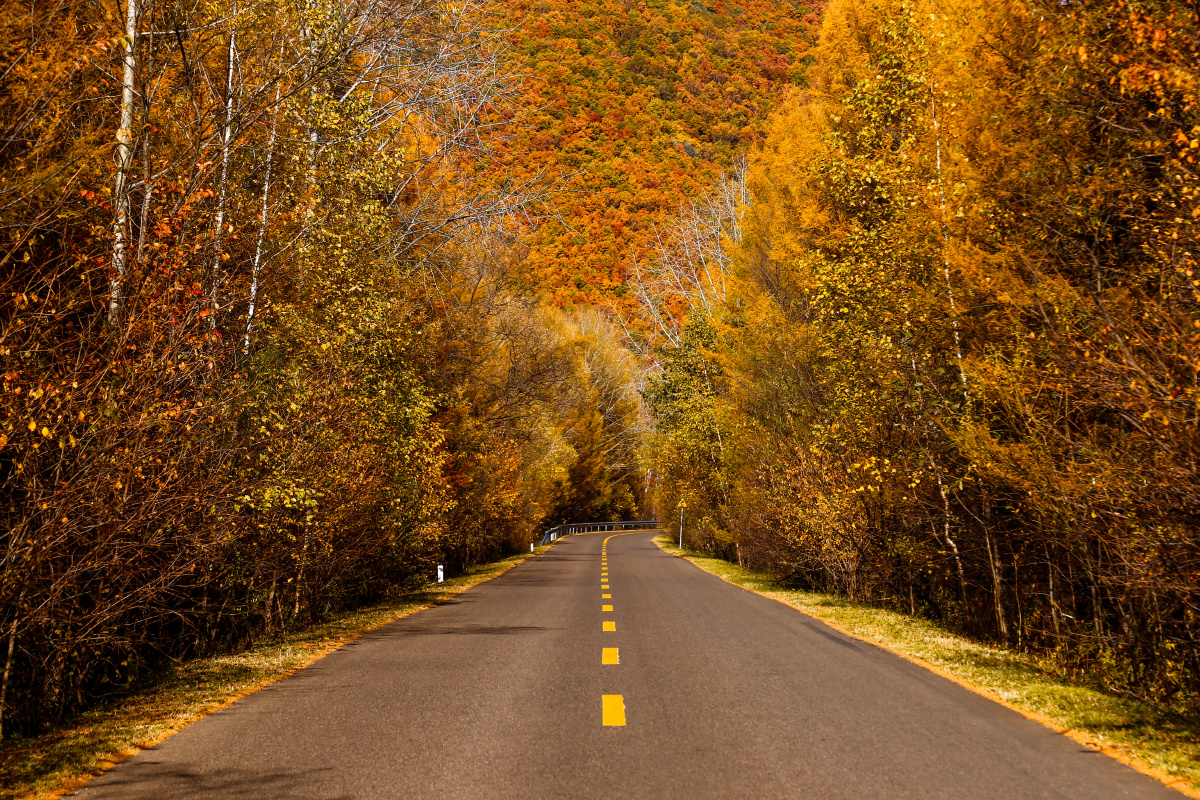 伊春秋季乌带公路