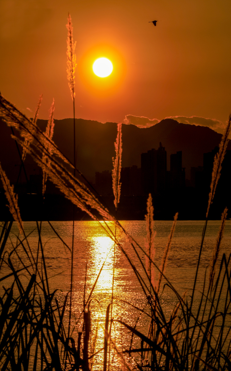 夕阳西下断肠人在天涯摄于2021214